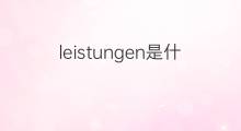 leistungen是什么意思 leistungen的中文翻译、读音、例句