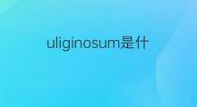 uliginosum是什么意思 uliginosum的中文翻译、读音、例句