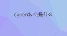 cyberdyne是什么意思 cyberdyne的中文翻译、读音、例句