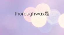 thoroughwax是什么意思 thoroughwax的中文翻译、读音、例句