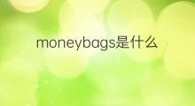 moneybags是什么意思 moneybags的中文翻译、读音、例句