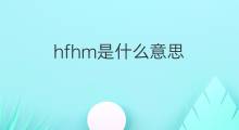 hfhm是什么意思 hfhm的中文翻译、读音、例句
