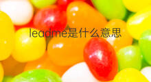 leadme是什么意思 leadme的中文翻译、读音、例句