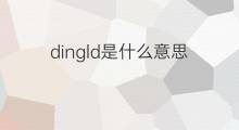 dingld是什么意思 dingld的翻译、读音、例句、中文解释