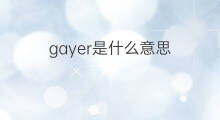 gayer是什么意思 gayer的中文翻译、读音、例句