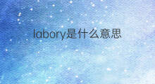 labory是什么意思 labory的中文翻译、读音、例句