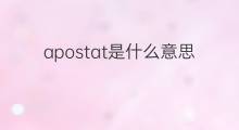 apostat是什么意思 apostat的中文翻译、读音、例句
