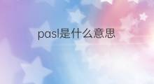 pasl是什么意思 pasl的中文翻译、读音、例句