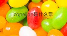 capellan是什么意思 capellan的中文翻译、读音、例句