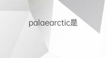 palaearctic是什么意思 palaearctic的中文翻译、读音、例句