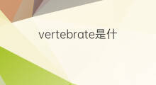 vertebrate是什么意思 vertebrate的中文翻译、读音、例句
