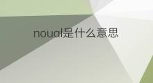noual是什么意思 noual的中文翻译、读音、例句