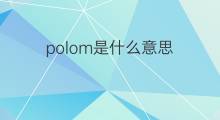 polom是什么意思 polom的翻译、读音、例句、中文解释