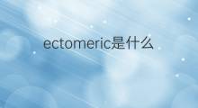 ectomeric是什么意思 ectomeric的中文翻译、读音、例句
