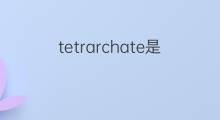 tetrarchate是什么意思 tetrarchate的翻译、读音、例句、中文解释