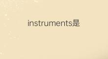 instruments是什么意思 instruments的中文翻译、读音、例句