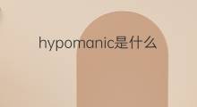 hypomanic是什么意思 hypomanic的中文翻译、读音、例句