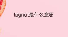 lugnut是什么意思 lugnut的中文翻译、读音、例句