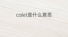calet是什么意思 calet的中文翻译、读音、例句