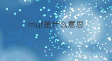muf是什么意思 muf的中文翻译、读音、例句