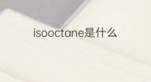 isooctane是什么意思 isooctane的中文翻译、读音、例句