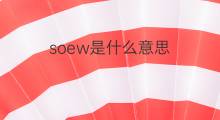 soew是什么意思 soew的中文翻译、读音、例句