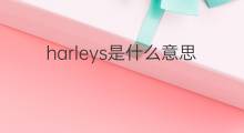 harleys是什么意思 harleys的中文翻译、读音、例句