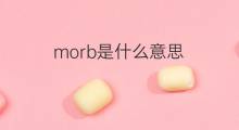 morb是什么意思 morb的中文翻译、读音、例句