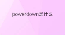 powerdown是什么意思 powerdown的中文翻译、读音、例句