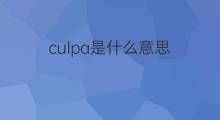 culpa是什么意思 culpa的中文翻译、读音、例句