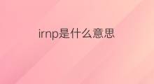 irnp是什么意思 irnp的翻译、读音、例句、中文解释
