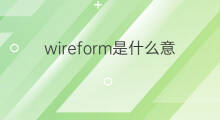 wireform是什么意思 wireform的中文翻译、读音、例句