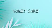 holli是什么意思 英文名holli的翻译、发音、来源