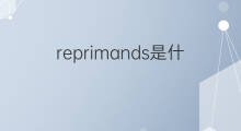 reprimands是什么意思 reprimands的中文翻译、读音、例句
