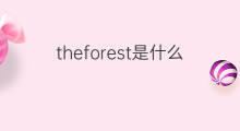 theforest是什么意思 theforest的中文翻译、读音、例句