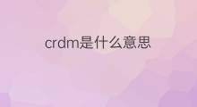 crdm是什么意思 crdm的中文翻译、读音、例句