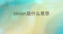 simon是什么意思 simon的中文翻译、读音、例句