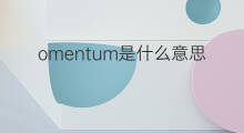 omentum是什么意思 omentum的中文翻译、读音、例句