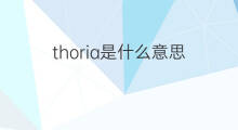 thoria是什么意思 thoria的翻译、读音、例句、中文解释