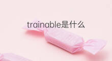 trainable是什么意思 trainable的中文翻译、读音、例句