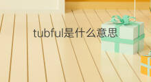 tubful是什么意思 tubful的翻译、读音、例句、中文解释