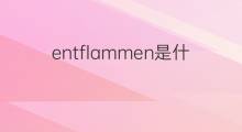 entflammen是什么意思 entflammen的中文翻译、读音、例句