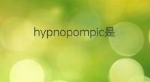 hypnopompic是什么意思 hypnopompic的中文翻译、读音、例句