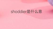shoddier是什么意思 shoddier的中文翻译、读音、例句