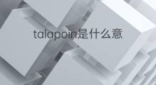 talapoin是什么意思 talapoin的中文翻译、读音、例句