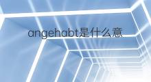 angehabt是什么意思 angehabt的中文翻译、读音、例句