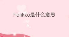 halikko是什么意思 halikko的中文翻译、读音、例句