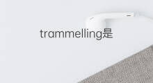 trammelling是什么意思 trammelling的中文翻译、读音、例句