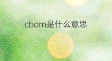 cbam是什么意思 cbam的中文翻译、读音、例句
