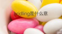 bridling是什么意思 bridling的中文翻译、读音、例句